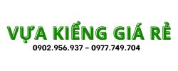 vựa kiểng giá rẻ