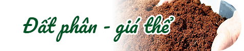 Đất phân - giá thể
