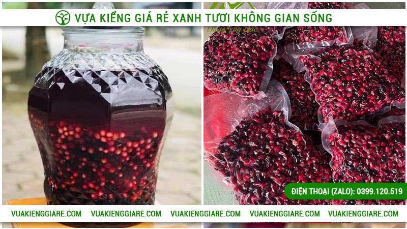 Cây nho thân gỗ đỏ và những ứng dụng thực tế