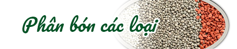Phân bón các loại