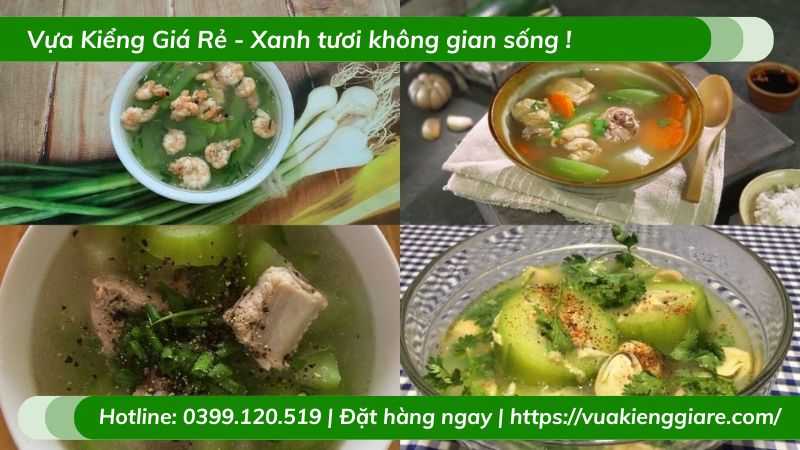 Cây bí đao xanh leo giàn