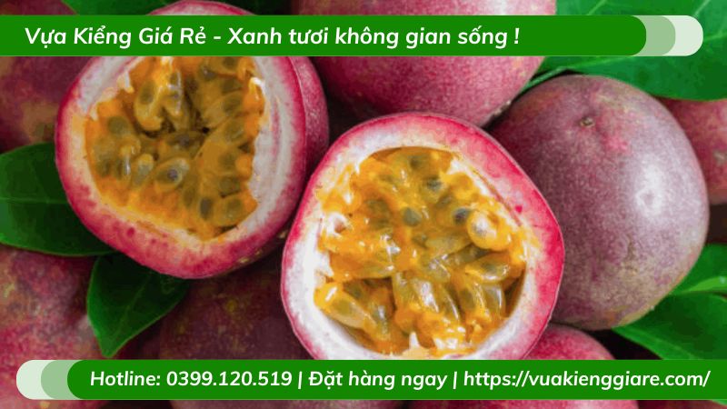 Cây chanh dây quả tím
