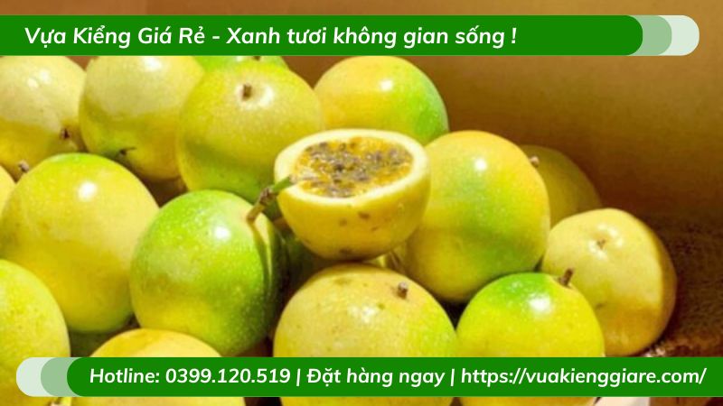 Cây chanh dây quả vàng
