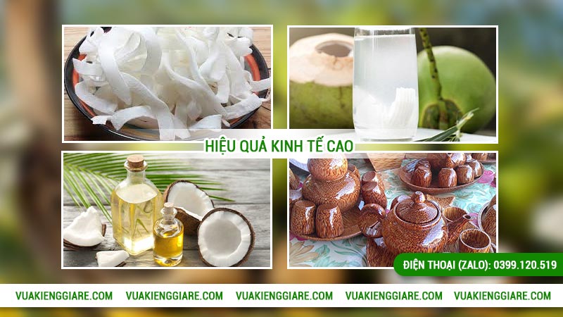 Lợi ích khi trồng dừa xiêm lùn đang có trái