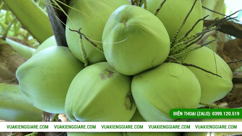 Mang đến lợi nhuận lâu dài