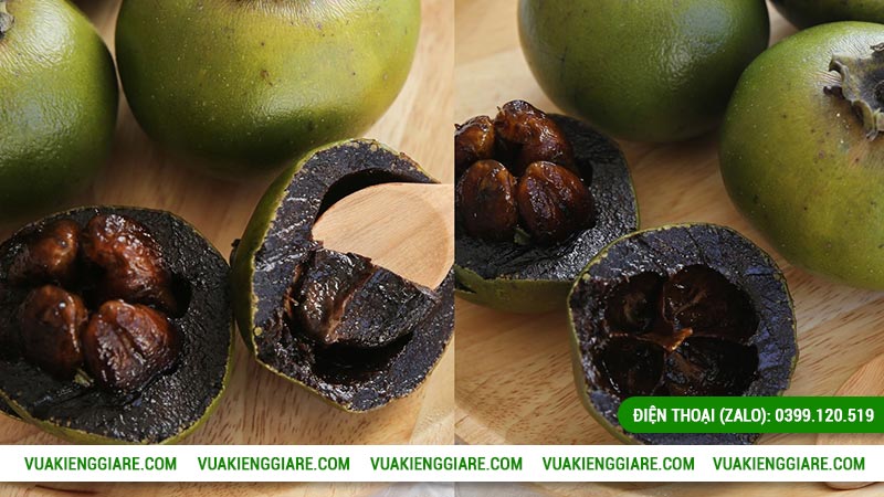 Cây hồng socola trồng bao lâu có trái? Có ngon không?