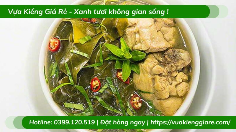 Công dụng của lá giang