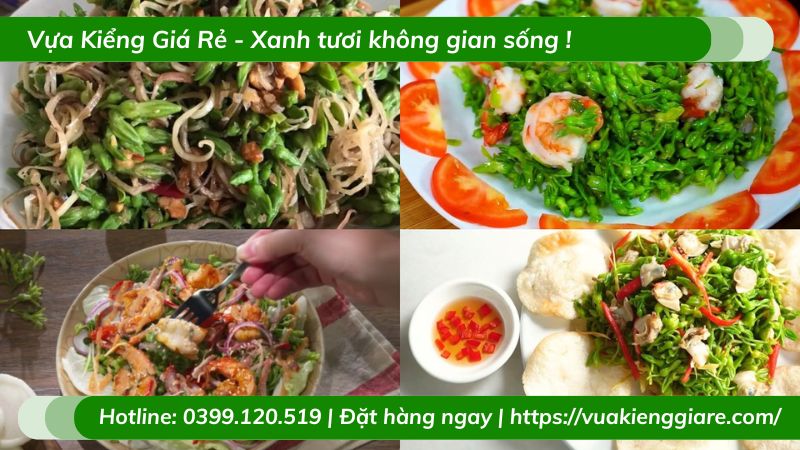 Cây leo thiên lý có hoa ăn được