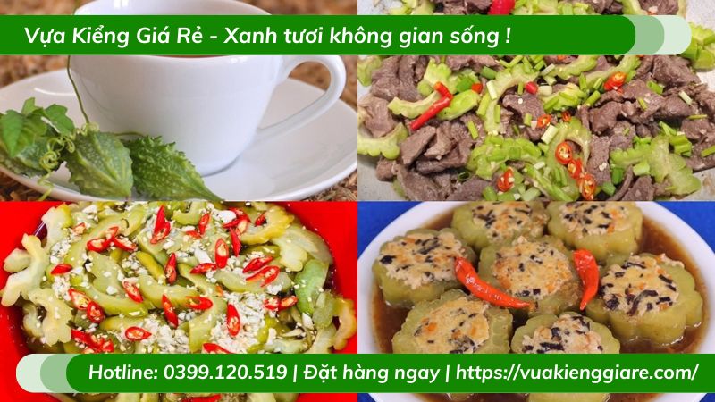 Cây mướp đắng (khổ qua) leo giàn