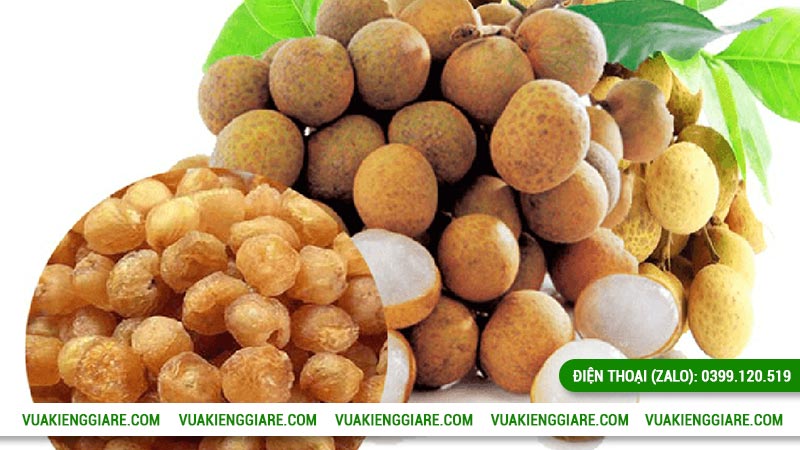 Ưu điểm sức khỏe của cây nhãn long