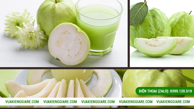 Giá trị kinh tế khi trồng ổi nữ hoàng