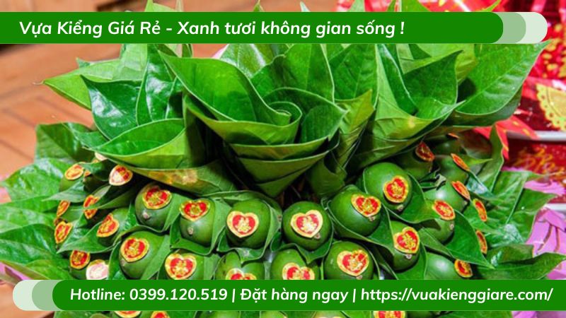 Cây trầu không