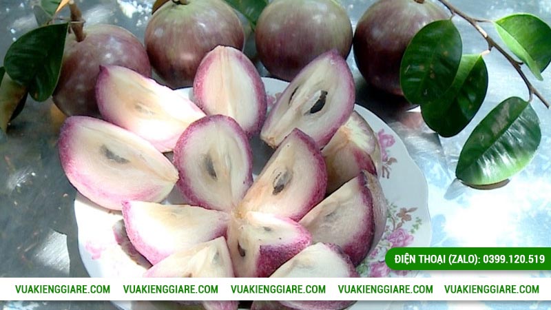 Tác dụng của quả vú sữa mica