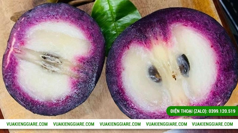 Quả vú sữa mica ăn có ngon không?