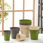 Chậu nhựa trồng cây