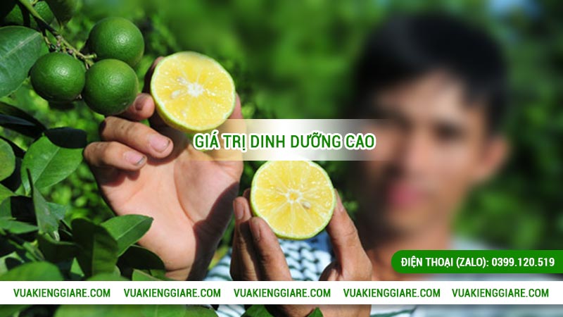 công dụng của cây chanh tứ quý