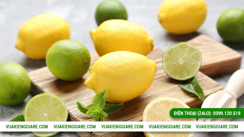 3. Khả năng chế biến phong phú