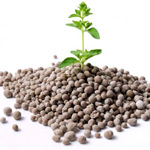 phân bón các loại