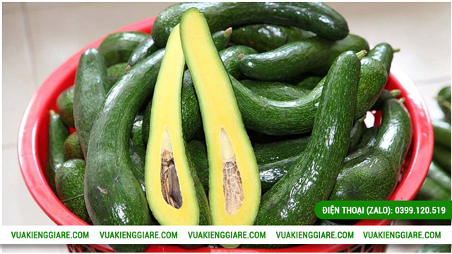 Giá trị dinh dưỡng của bơ 034