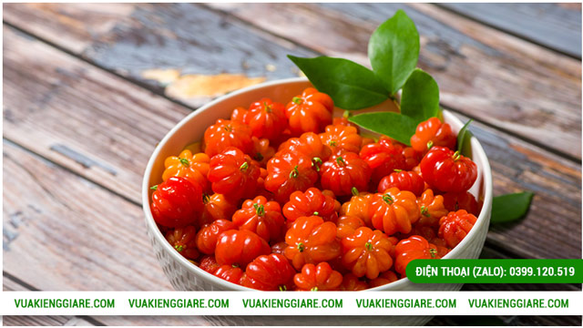 Công dụng của cây Cherry khía