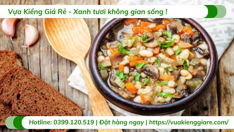 công dụng cây hương thảo