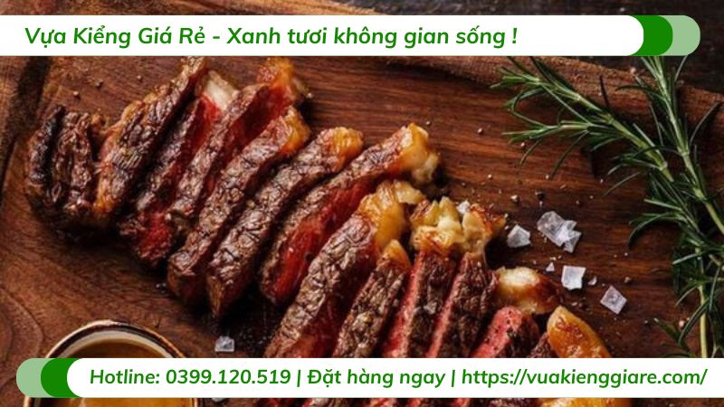 công dụng cây hương thảo