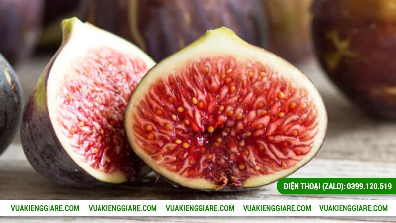 Cây ăn trái dễ trồng tại gia