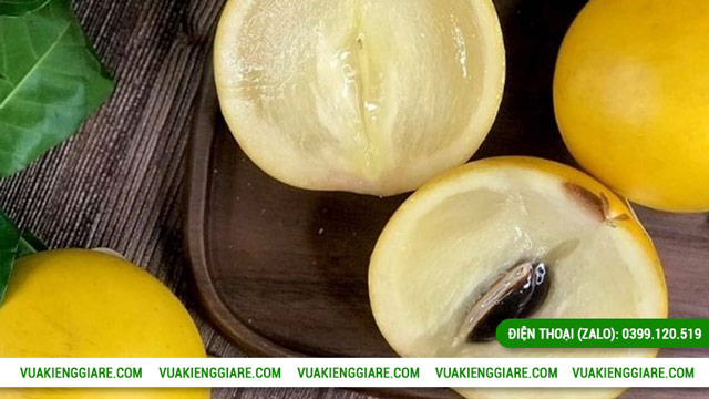 Tác dụng của trái vú sữa hoàng kim