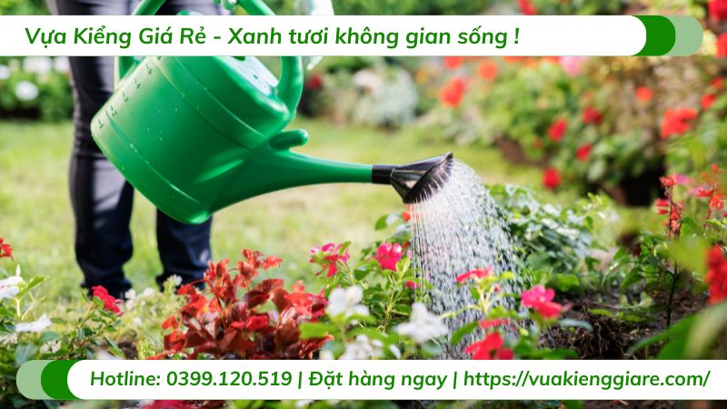 các loại cây cảnh