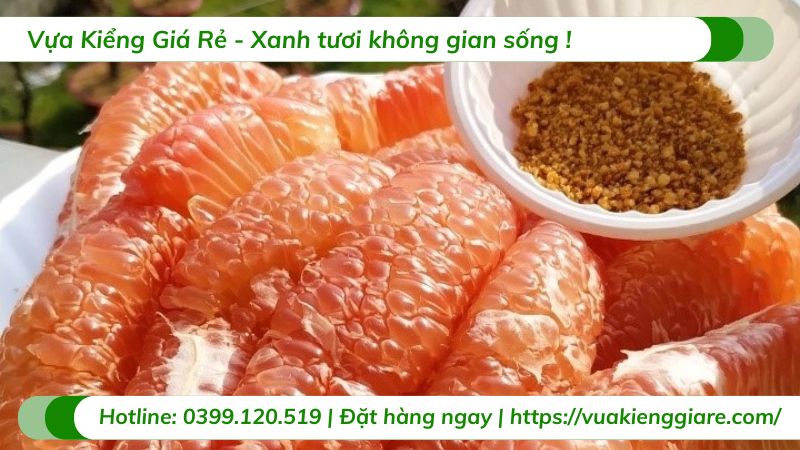 Cây bưởi da xanh ruột hồng (cây giống)