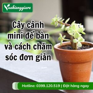 cây cảnh mini