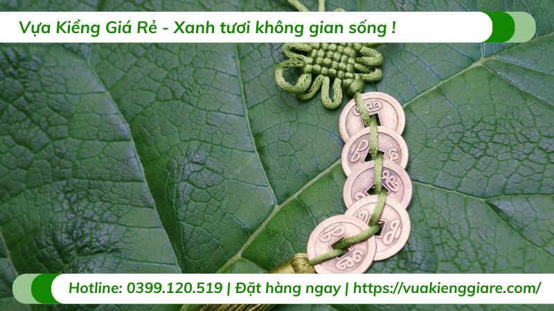 cây cảnh phong thủy