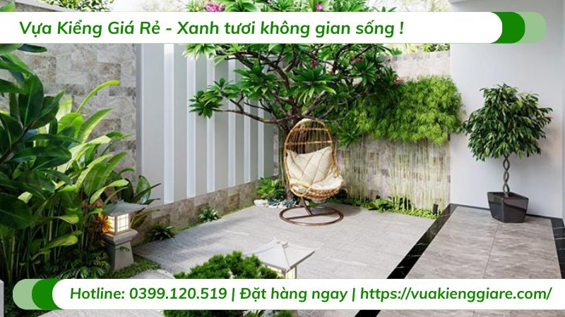 chậu cây cảnh