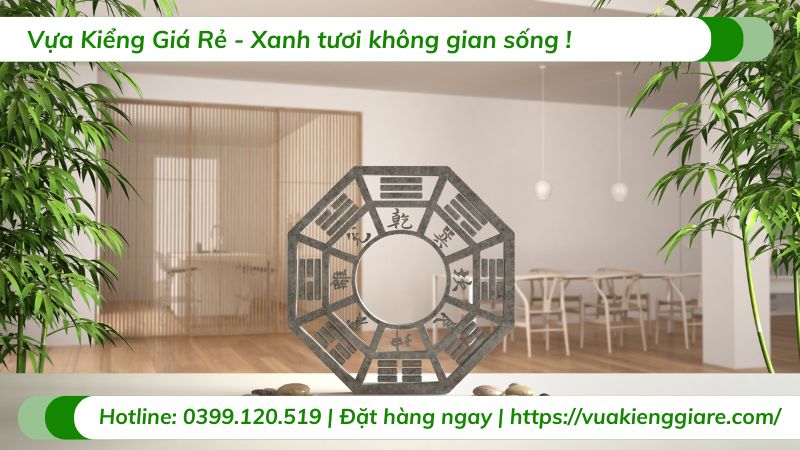 cây cảnh trồng trong nhà