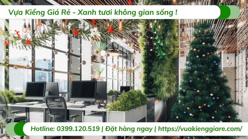 cây cảnh văn phòng