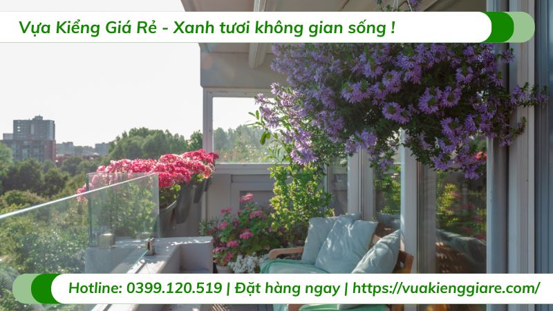 cây dây leo ban công