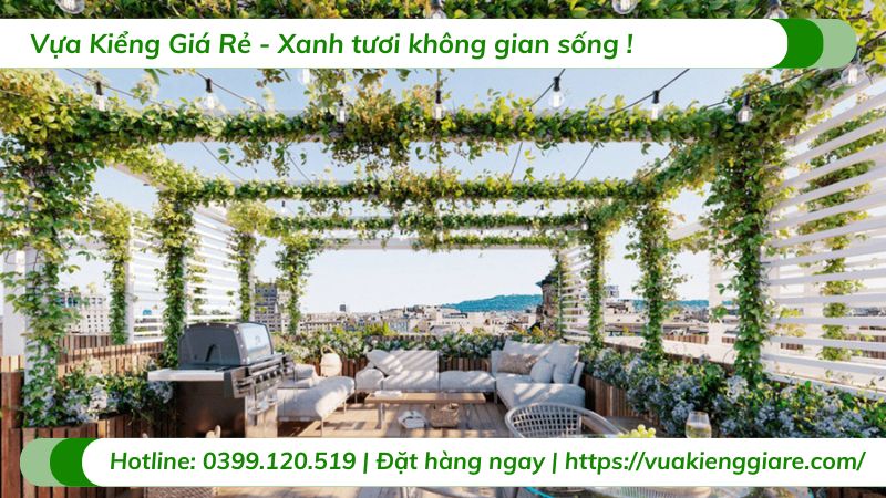 cây dây leo chịu nắng