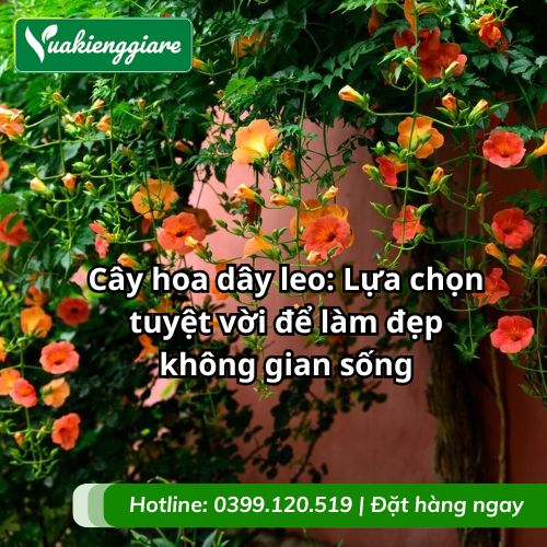 cây hoa dây leo