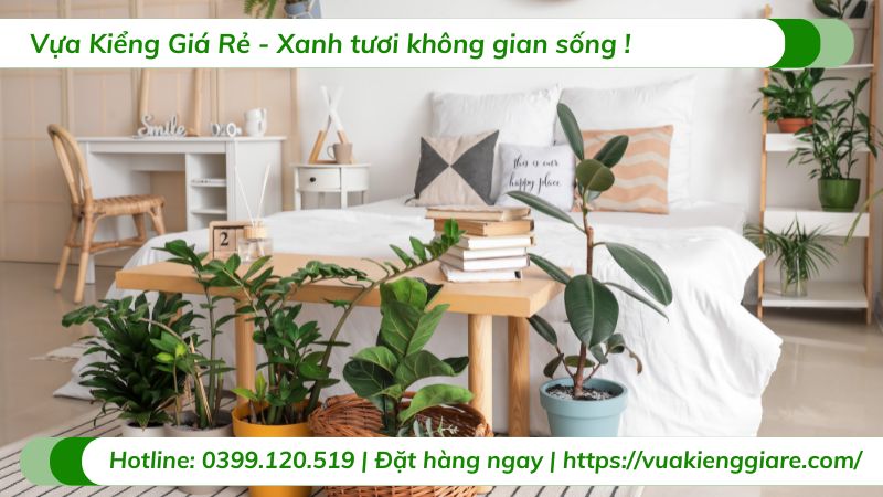 cây nội thất