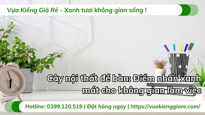 cây nội thất để bàn