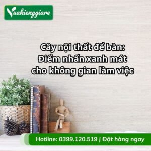 cây nội thất để bàn