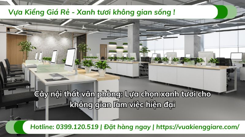 cây nội thất văn phòng