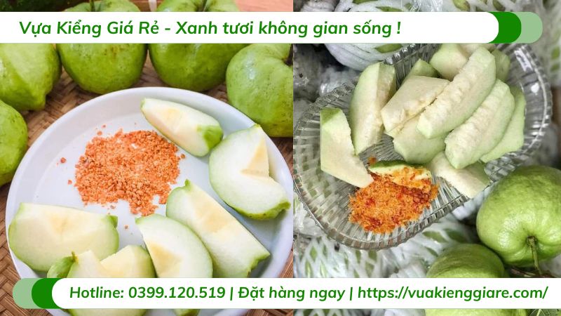 Hướng Dẫn Trồng Cây Ổi Tại Nhà