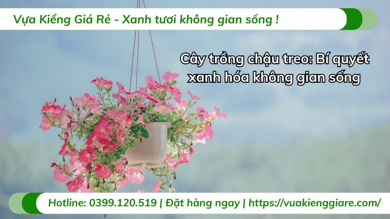 cây trồng chậu treo