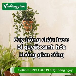 cây trồng chậu treo