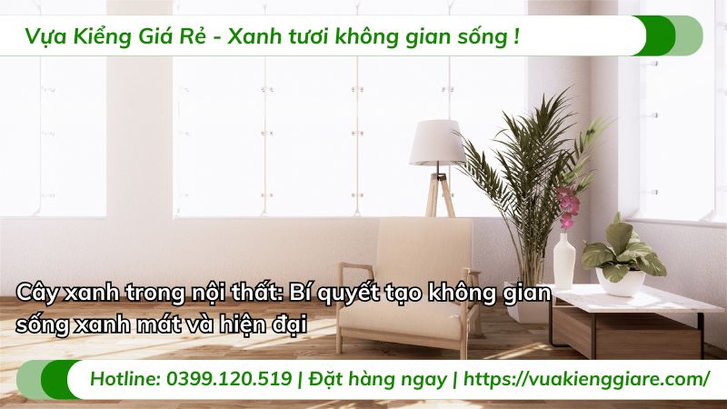 cây xanh trong nội thất