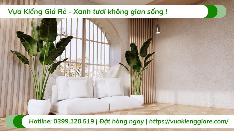 cây xanh trong nội thất