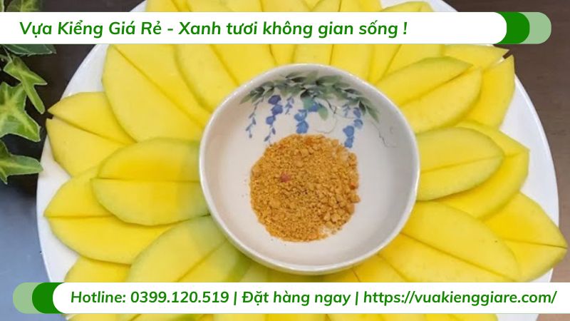 cây xoài đài loan (cây giống)