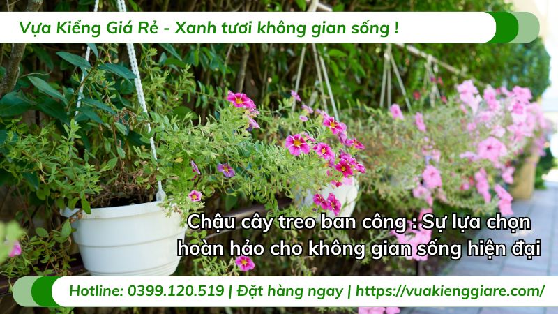chậu cây treo ban công