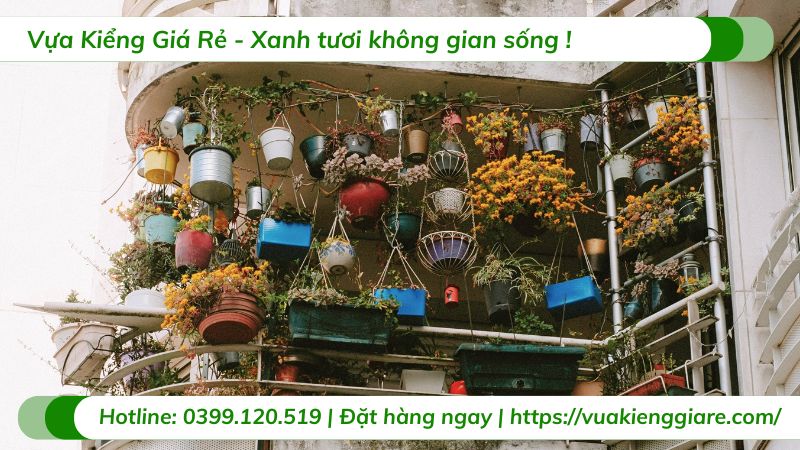 chậu cây treo ban công